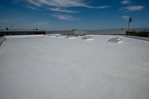 Best Emergency Roof Repair Services  in Campbell, OH