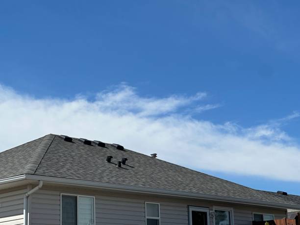 Best Asphalt Shingle Roofing  in Campbell, OH
